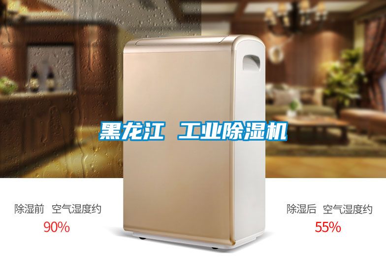 黑龍江 工業(yè)除濕機(jī)