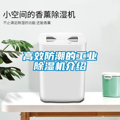 高效防潮的工業(yè)除濕機介紹