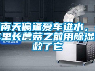 行業(yè)新聞回南天偏逢愛車進(jìn)水，在車?yán)镩L(zhǎng)蘑菇之前用除濕機(jī)救了它