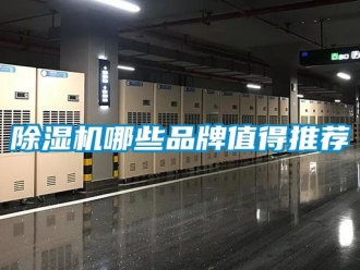 企業(yè)新聞除濕機哪些品牌值得推薦