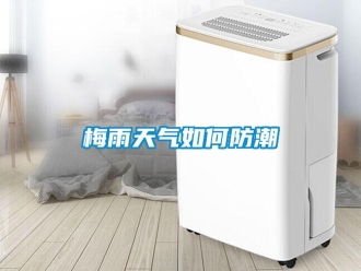 常見(jiàn)問(wèn)題梅雨天氣如何防潮