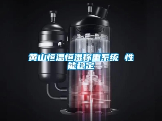 知識(shí)百科黃山恒溫恒濕稱重系統(tǒng) 性能穩(wěn)定