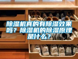 行業(yè)新聞除濕機(jī)真的有除濕效果嗎？除濕機(jī)的除濕原理是什么？