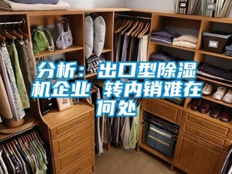 企業(yè)新聞分析：出口型除濕機(jī)企業(yè) 轉(zhuǎn)內(nèi)銷難在何處