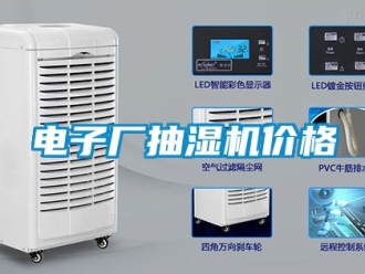 企業(yè)新聞電子廠抽濕機價格