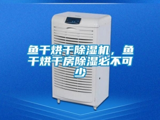 知識百科魚干烘干除濕機(jī)，魚干烘干房除濕必不可少