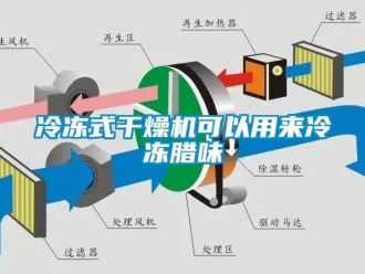 行業(yè)新聞冷凍式干燥機(jī)可以用來冷凍臘味