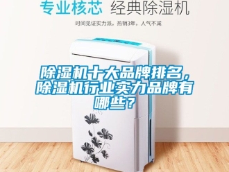 企業(yè)新聞除濕機(jī)十大品牌排名，除濕機(jī)行業(yè)實(shí)力品牌有哪些？