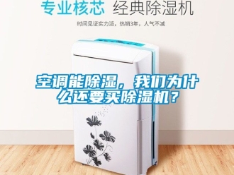 行業(yè)新聞空調(diào)能除濕，我們?yōu)槭裁催€要買除濕機？