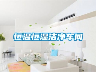 知識(shí)百科恒溫恒濕潔凈車(chē)間