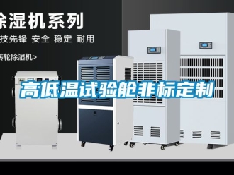 常見問題高低溫試驗(yàn)艙非標(biāo)定制