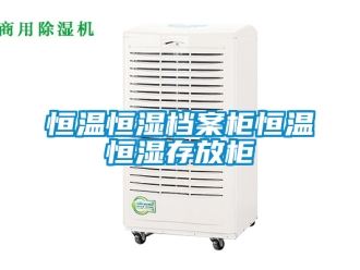 知識百科恒溫恒濕檔案柜恒溫恒濕存放柜