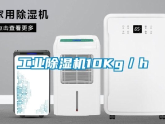 企業(yè)新聞工業(yè)除濕機10Kg／h