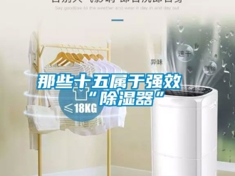行業(yè)新聞那些十五屬于強效“除濕器”