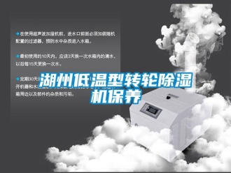 常見問題湖州低溫型轉(zhuǎn)輪除濕機保養(yǎng)