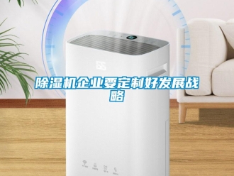 常見(jiàn)問(wèn)題除濕機(jī)企業(yè)要定制好發(fā)展戰(zhàn)略