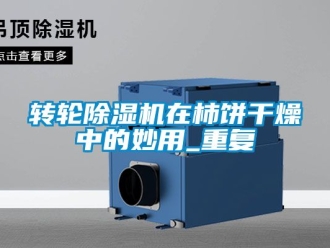 常見問題轉輪除濕機在柿餅干燥中的妙用_重復