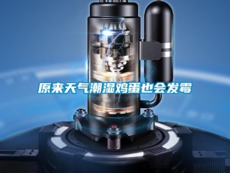 知識(shí)百科原來(lái)天氣潮濕雞蛋也會(huì)發(fā)霉