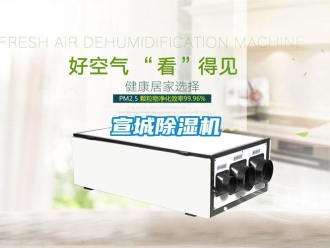 行業(yè)新聞宣城除濕機(jī)