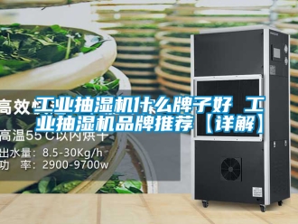企業(yè)新聞工業(yè)抽濕機什么牌子好 工業(yè)抽濕機品牌推薦【詳解】