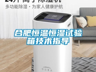 知識百科合肥恒溫恒濕試驗箱技術指導