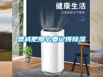 知識(shí)百科想減肥那么要記得除濕