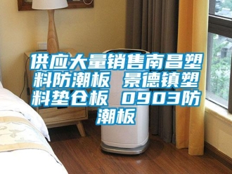 常見問題供應(yīng)大量銷售南昌塑料防潮板 景德鎮(zhèn)塑料墊倉(cāng)板 0903防潮板
