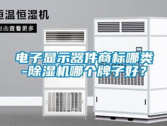 行業(yè)新聞電子顯示器件商標哪類-除濕機哪個牌子好？