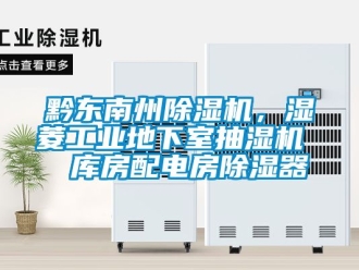 常見問題黔東南州除濕機(jī)，濕菱工業(yè)地下室抽濕機(jī)  庫房配電房除濕器