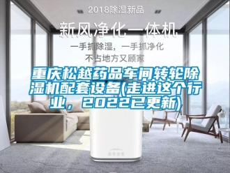 常見問題重慶松越藥品車間轉(zhuǎn)輪除濕機配套設備(走進這個行業(yè)，2022已更新)