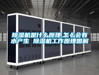 行業(yè)新聞除濕機(jī)是什么原理,怎么會(huì)有水產(chǎn)生 除濕機(jī)工作原理圖解