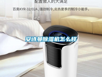 企業(yè)新聞安詩(shī)曼除濕機(jī)怎么樣