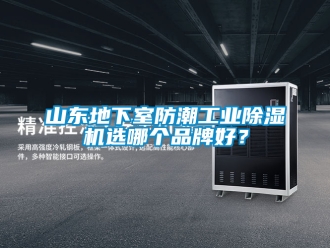 常見問題山東地下室防潮工業(yè)除濕機(jī)選哪個品牌好？
