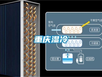 知識百科重慶濕冷
