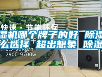 行業(yè)新聞除濕機(jī)哪個(gè)牌子的好 除濕機(jī)怎么選擇 超出想象 除濕機(jī)