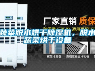 知識百科蔬菜脫水烘干除濕機，脫水蔬菜烘干設(shè)備