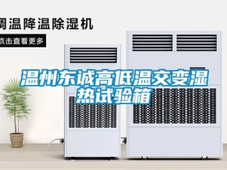 常見(jiàn)問(wèn)題溫州東誠(chéng)高低溫交變濕熱試驗(yàn)箱