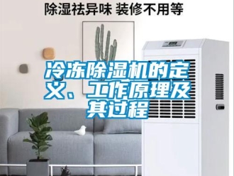 行業(yè)新聞冷凍除濕機的定義、工作原理及其過程