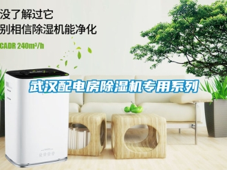 行業(yè)新聞武漢配電房除濕機專用系列