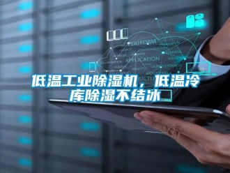 常見問題低溫工業(yè)除濕機，低溫冷庫除濕不結(jié)冰