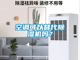 常見(jiàn)問(wèn)題空調(diào)可以替代除濕機(jī)嗎？