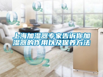 知識(shí)百科上海加濕器專(zhuān)家告訴你加濕器的作用以及保養(yǎng)方法