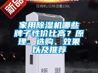 常見問題家用除濕機哪些牌子性價比高？原理、選購、效果以及推薦