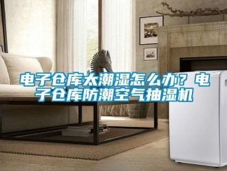 企業(yè)新聞電子倉庫太潮濕怎么辦？電子倉庫防潮空氣抽濕機