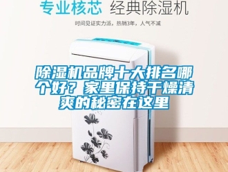 企業(yè)新聞除濕機品牌十大排名哪個好？家里保持干燥清爽的秘密在這里