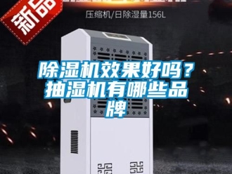 企業(yè)新聞除濕機效果好嗎？抽濕機有哪些品牌