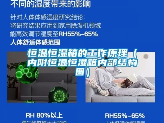 知識百科恒溫恒濕箱的工作原理（內附恒溫恒濕箱內部結構圖）
