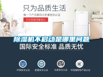 企業(yè)新聞除濕機(jī)不啟動是哪里問題