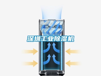 常見問題深圳工業(yè)除濕機(jī)