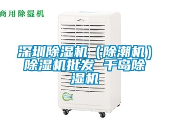 行業(yè)新聞深圳除濕機(jī)（除潮機(jī)）除濕機(jī)批發(fā) 千島除濕機(jī)